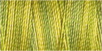 Gutermann Sulky Cotton 30 Variegated Machine Embroidery Thread 300m - Shade 4052