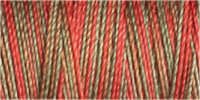 Gutermann Sulky Cotton 30 Variegated Machine Embroidery Thread 300m - Shade 4053