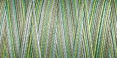 Gutermann Sulky Cotton 30 Variegated Machine Embroidery Thread 300m - Shade 4085