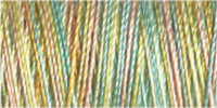 Gutermann Sulky Cotton 30 Variegated Machine Embroidery Thread 300m - Shade 4101