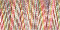 Gutermann Sulky Cotton 30 Variegated Machine Embroidery Thread 300m - Shade 4102