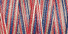 Gutermann Sulky Cotton 30 Variegated Machine Embroidery Thread 300m - Shade 4105