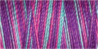 Gutermann Sulky Cotton 30 Variegated Machine Embroidery Thread 300m - Shade 4110
