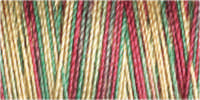 Gutermann Sulky Cotton 30 Variegated Machine Embroidery Thread 300m - Shade 4112
