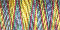 Gutermann Sulky Cotton 30 Variegated Machine Embroidery Thread 300m - Shade 4113