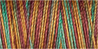 Gutermann Sulky Cotton 30 Variegated Machine Embroidery Thread 300m - Shade 4114