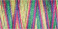 Gutermann Sulky Cotton 30 Variegated Machine Embroidery Thread 300m - Shade 4115