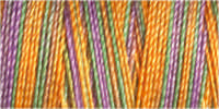 Gutermann Sulky Cotton 30 Variegated Machine Embroidery Thread 300m - Shade 4116