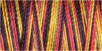 Gutermann Sulky Cotton 30 Variegated Machine Embroidery Thread 300m - Shade 4117