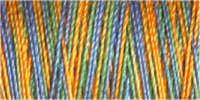 Gutermann Sulky Cotton 30 Variegated Machine Embroidery Thread 300m - Shade 4118