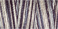 Gutermann Sulky Cotton 30 Variegated Machine Embroidery Thread 300m - Shade 4119