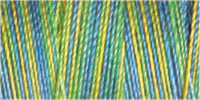 Gutermann Sulky Cotton 30 Variegated Machine Embroidery Thread 300m - Shade 4120