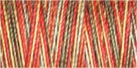Gutermann Sulky Cotton 30 Variegated Machine Embroidery Thread 300m - Shade 4121