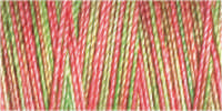 Gutermann Sulky Cotton 30 Variegated Machine Embroidery Thread 300m - Shade 4122