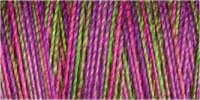 Gutermann Sulky Cotton 30 Variegated Machine Embroidery Thread 300m - Shade 4123