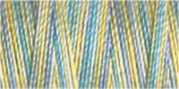 Gutermann Sulky Cotton 30 Variegated Machine Embroidery Thread 300m - Shade 4125