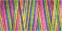 Gutermann Sulky Cotton 30 Variegated Machine Embroidery Thread 300m - Shade 4126
