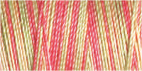 Gutermann Sulky Cotton 30 Variegated Machine Embroidery Thread 300m - Shade 4127