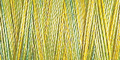 Gutermann Sulky Cotton 12 Variegated Machine Embroidery Thread 200m - Shade 4017