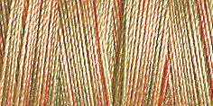 Gutermann Sulky Cotton 12 Variegated Machine Embroidery Thread 200m - Shade 4026