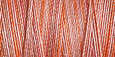 Gutermann Sulky Cotton 12 Variegated Machine Embroidery Thread 200m - Shade 4029
