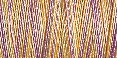 Gutermann Sulky Cotton 12 Variegated Machine Embroidery Thread 200m - Shade 4103