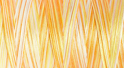 Gutermann Bulky-Lock 80 Multicolour Overlocker Thread 1000m - Shade 9914