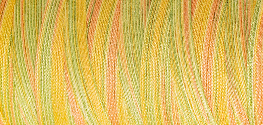 Madeira Aerolock No.125 Variegated Overlock Thread 1200m - Shade 9511