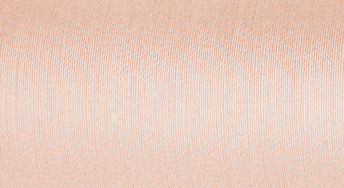 Madeira Cotona No.50 Cotton Quilting & Embroidery Thread 1000m - Shade 585