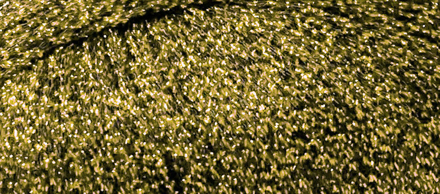 Madeira Lame Metallic Crochet and Knitting Yarn 25g - 551