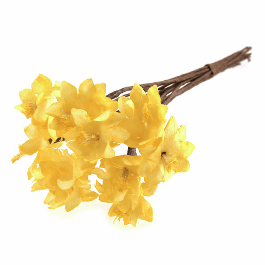 Yellow Paper Sun Daisy's - 15mm (Pack of 12)