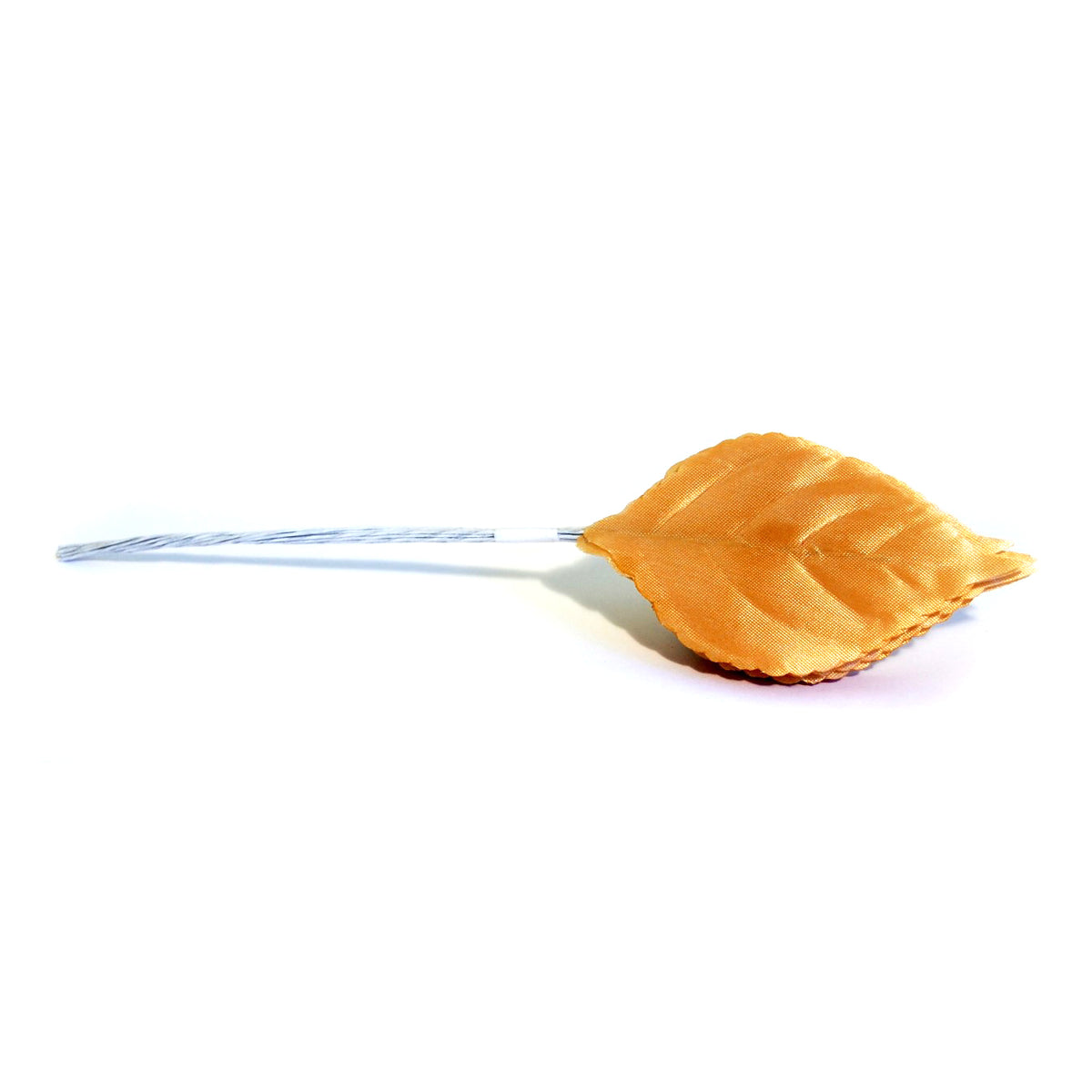 Champagne satin rose leaves