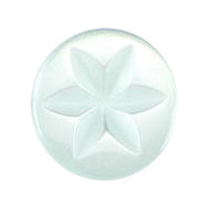 Pale mint green button with a moulded star design