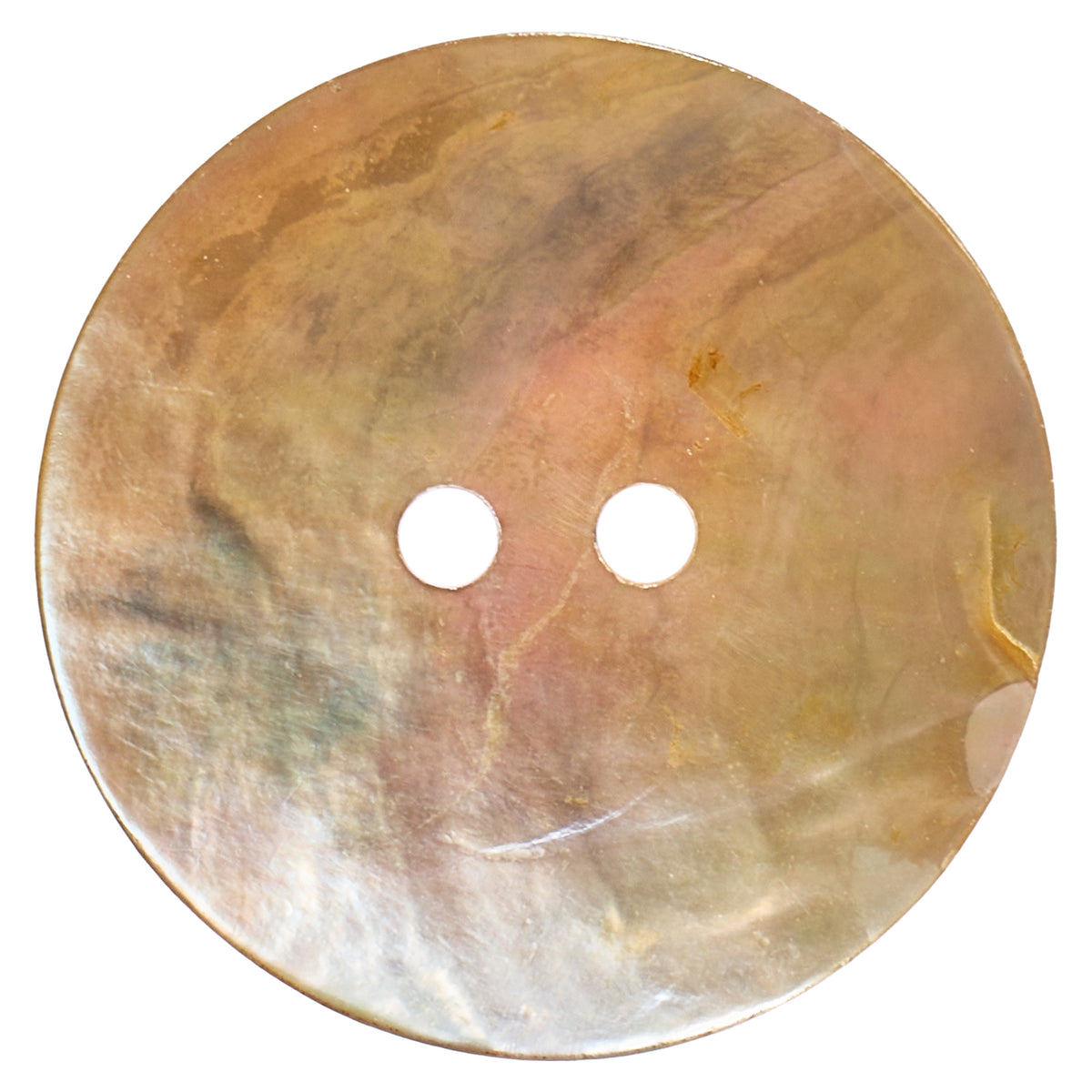 Natural agoya shell round two-hole button