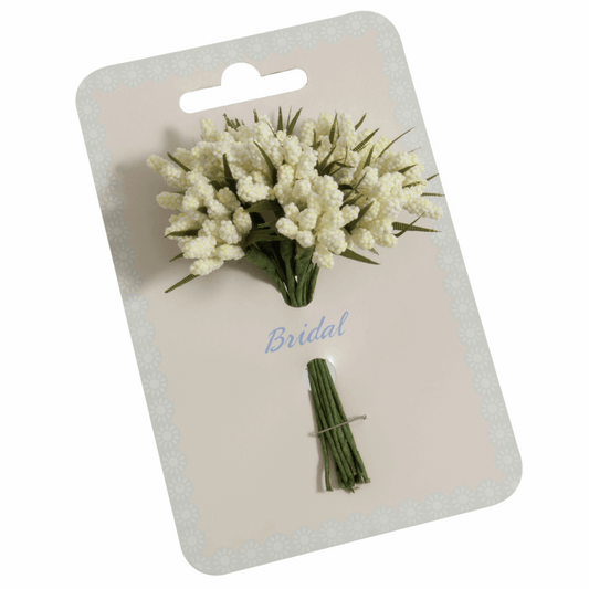Cream Grape Hyacinth Bunch - 10mm (Pack of 12 Stems)