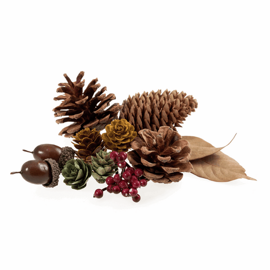 Natural Acorn Mix Bag - 45g (Pack of 11)