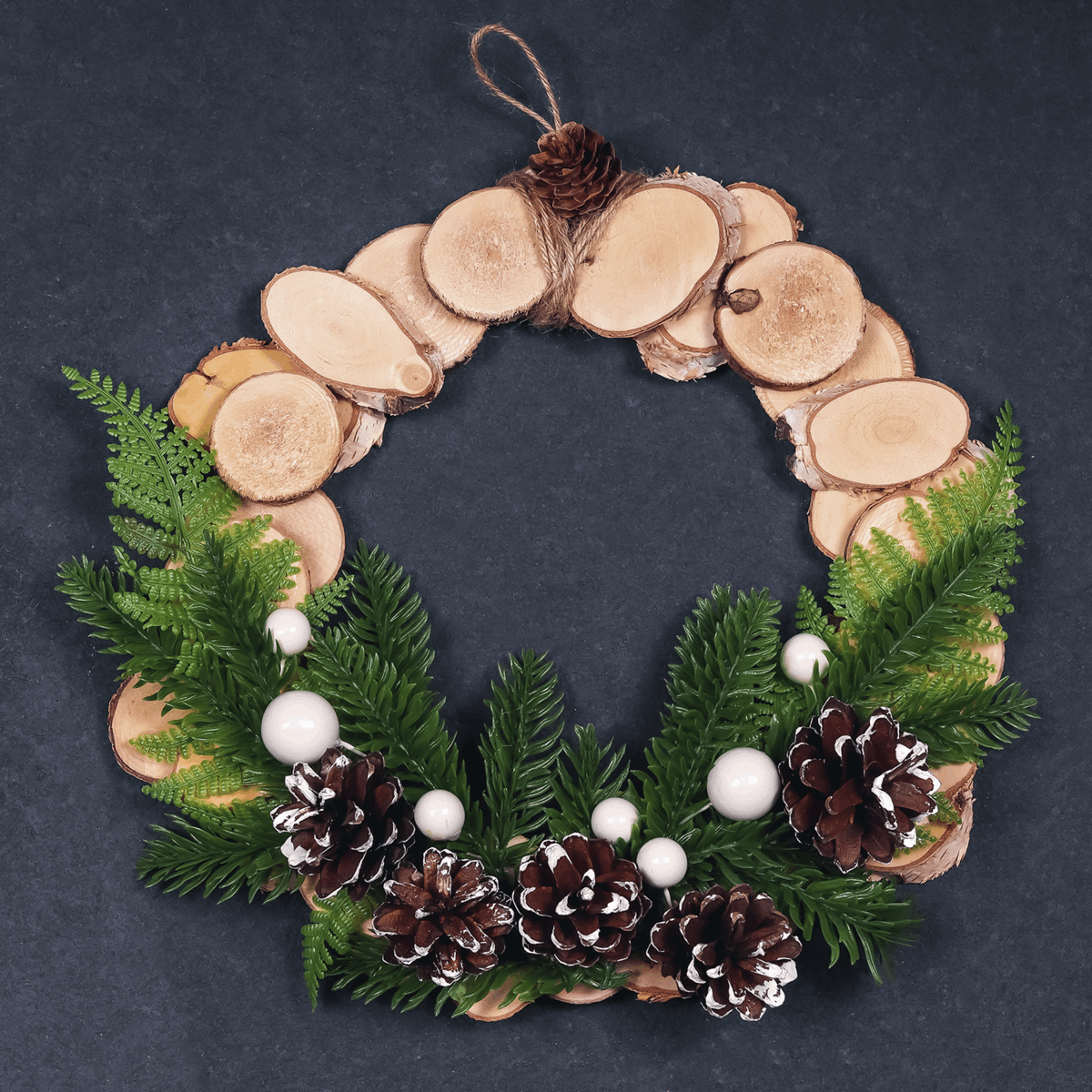 White Tipped Pine Cones (Pack of 9)