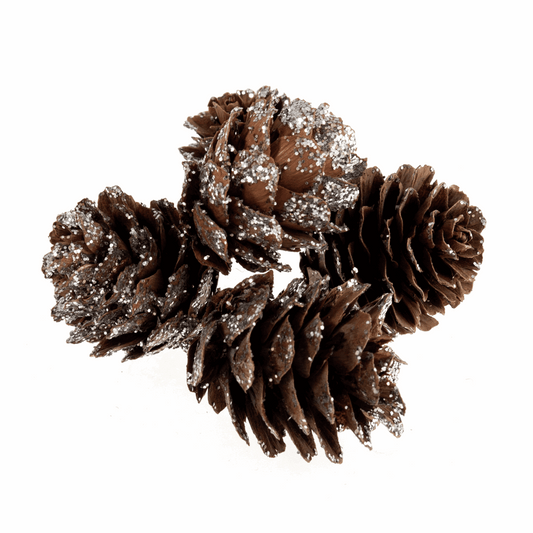 Mini Glitter Pine Cones (Pack of 50)