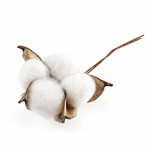 Cotton Plant on Wire (Pack of 2)