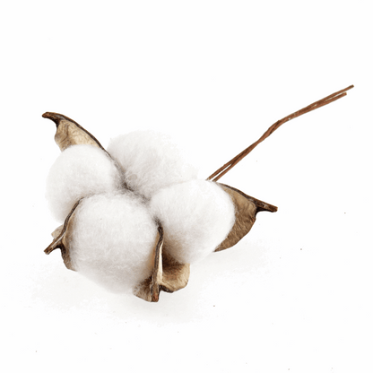 Cotton Plant on Wire (Pack of 2)