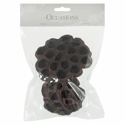 Dried Lotus Flower Heads - 8-10cm (Pack of 2)