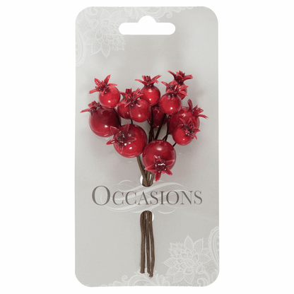 Pomegranate Bunch on Wire (Pack of 12 Stems)