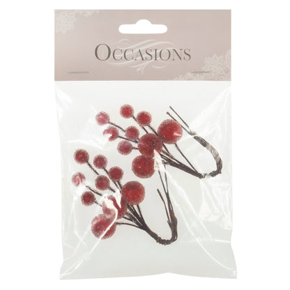 Bunch of frosted red berries on wire stems