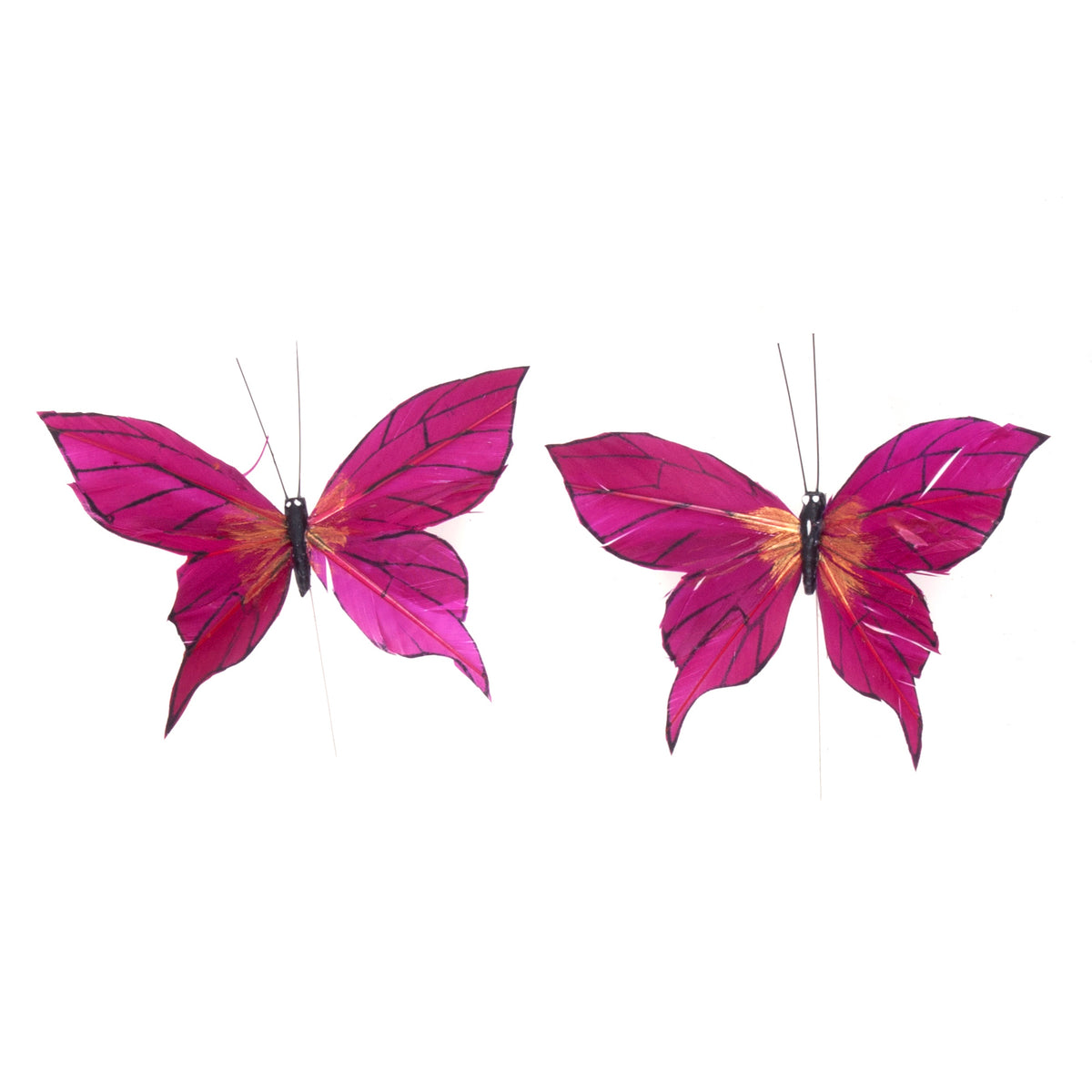 Burgundy painted decorative butterflies