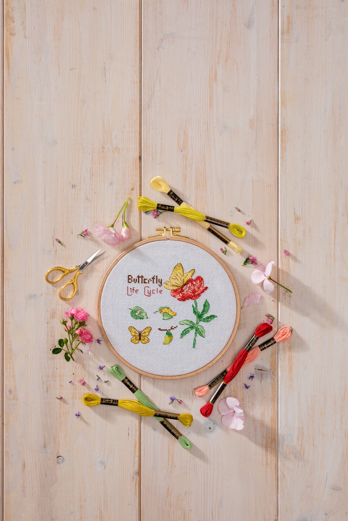 Anchor Butterfly Life cross stitch design in an embroidery hoop