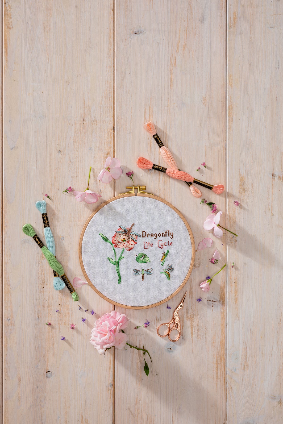 Anchor Dragonfly Life cross stitch design in an embroidery hoop