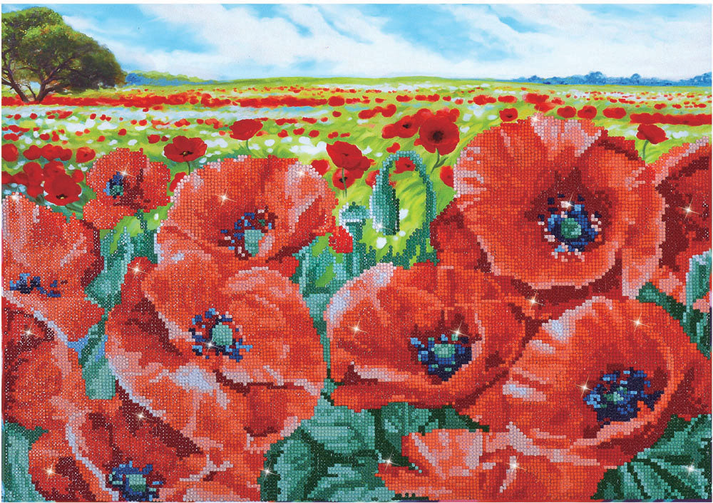 Diamond Dotz Red Poppy Field diamond painting kit showing a field of red poppies