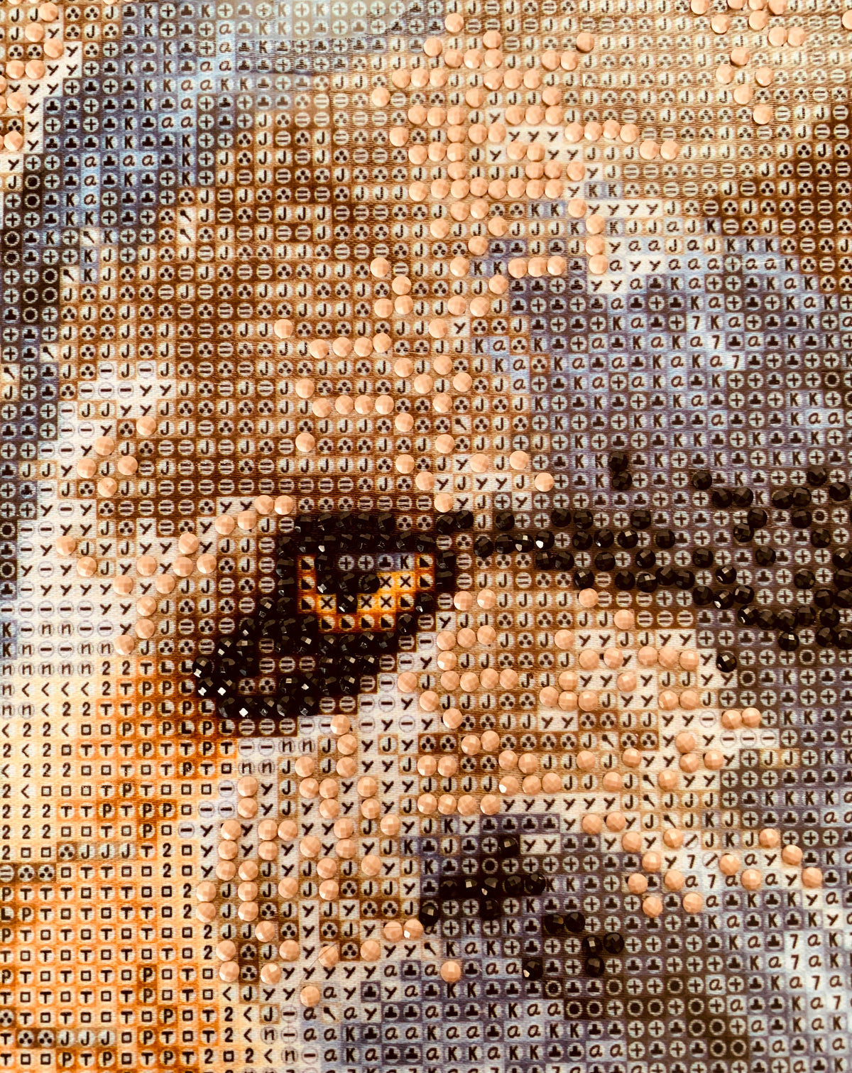 Diamond Dotz Muzzle Nuzzle diamond painting kit showing the Muzzle Nuzzle design