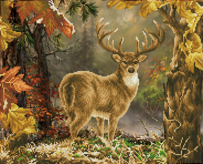 Diamond Dotz Prince of the Forest diamond painting kit showing the Prince of the Forest design