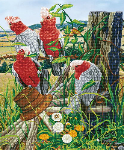 Diamond Dotz Galah Quartet diamond painting kit design